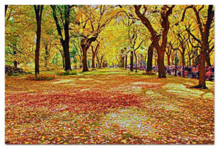 USA New York City Central Park Foliage 0001