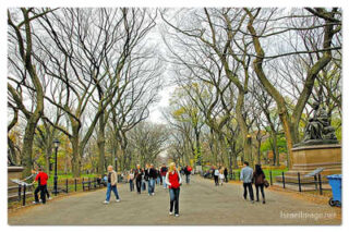 USA New York City Central Park Foliage 0004
