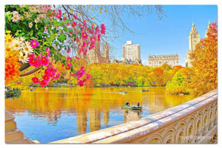 USA New York City Central Park Foliage Reflections 0001