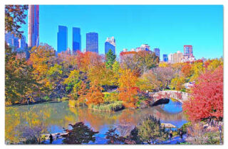 USA New York City Central Park Foliage Reflections 0002