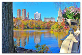 USA New York City Central Park Foliage Reflections 0008