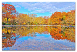 USA New York City Central Park Foliage Reflections 0012