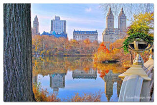 USA New York City Central Park Foliage Reflections 0015
