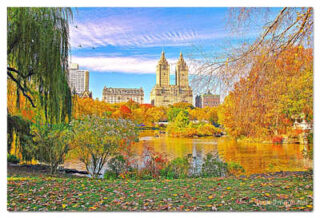 USA New York City Central Park Foliage Reflections 0019