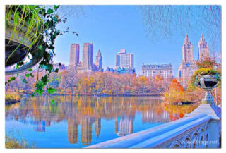 USA New York City Central Park Foliage Reflections 0027
