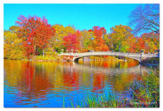 USA New York City Central Park Foliage Reflections 0029