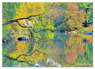USA New York City Central Park Reflections 0001