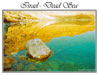 Israel Dead Sea 004