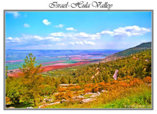 Israel Hula Valley 001