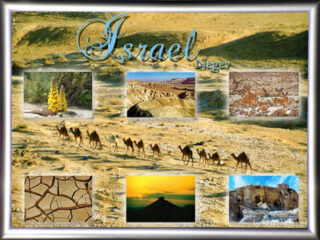 Israel Negev 001
