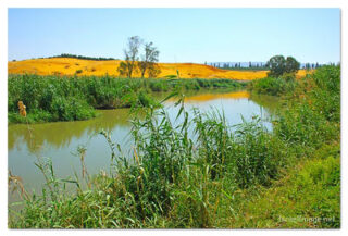 Israel Jordan River 0003