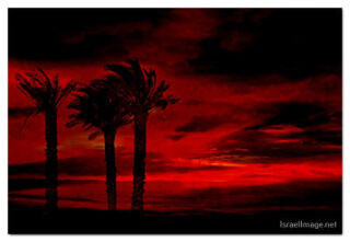 Israel Jordan Valley 0004