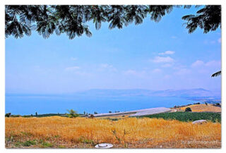 israel sea of galilee kinneret print Israel Kinneret Sea Of Galilee 0007