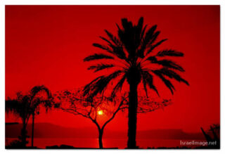 israel kinneret Sea of Galilee print Israel Kinneret Sea Of Galilee 0009