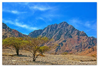 israel mount solomon print Israel Mount Solomon 0001
