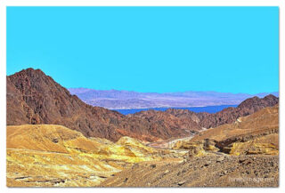 israel mount solomon print Israel Mount Solomon 0003