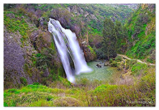 israel nahal ayun takhana waterfall print Israel Nahal Ayun Takhana Waterfall 0001