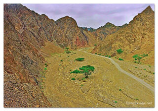 israel nahal shlomo print Israel Nahal Shlomo 0001