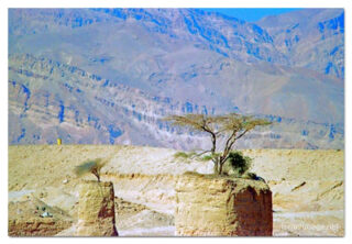 israel negev print Israel Negev 00011