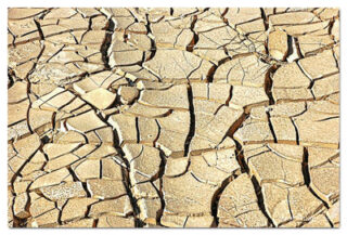 israel negev print Israel Negev 0006