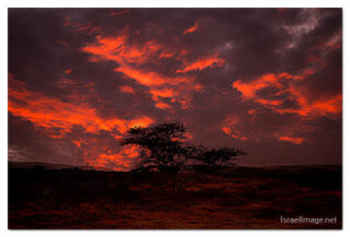 israel negev print Israel Negev 0008