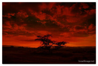 israel negev sunset print Israel Negev Sunset 0003