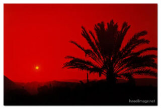 israel negev sunset print Israel Negev Sunset 0004