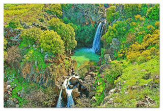israel saar waterfall print Israel Saar Waterfall 0001
