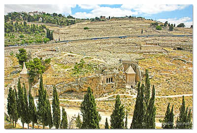 jerusalem mount of olives print Jerusalem Mount Of Olives 0004