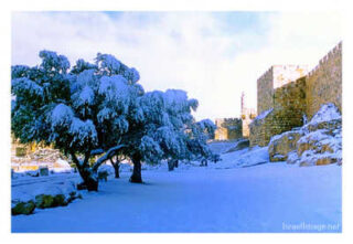 Jerusalem Snow 0002