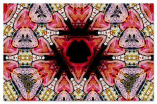 the kaleidoscope of life print The Kaleidoscope Of Life 00032