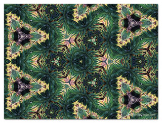 the kaleidoscope of life print The Kaleidoscope Of Life 00035
