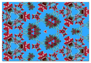 the kaleidoscope of life print The Kaleidoscope Of Life 00036