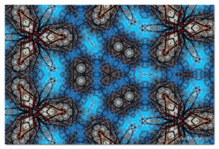 the kaleidoscope of life print The Kaleidoscope Of Life 00040