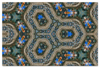 the kaleidoscope of life print The Kaleidoscope Of Life 00041