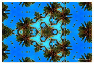 the kaleidoscope of life print The Kaleidoscope Of Life 00045