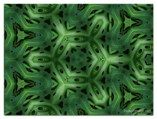 the kaleidoscope of life print The Kaleidoscope Of Life 00048