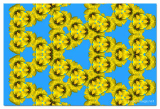 the kaleidoscope of life print The Kaleidoscope Of Life 00052