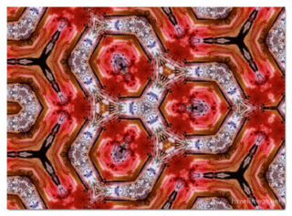 the kaleidoscope of life print The Kaleidoscope Of Life 00054