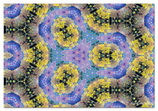 the kaleidoscope of life print The Kaleidoscope Of Life 00056