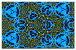 the kaleidoscope of life print The Kaleidoscope Of Life 00060