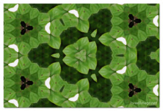 the kaleidoscope of life print The Kaleidoscope Of Life 00061