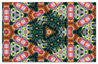 the kaleidoscope of life print The Kaleidoscope Of Life 00063