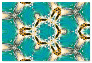 the kaleidoscope of life print The Kaleidoscope Of Life 00065
