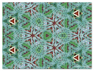 the kaleidoscope of life print The Kaleidoscope Of Life 00067