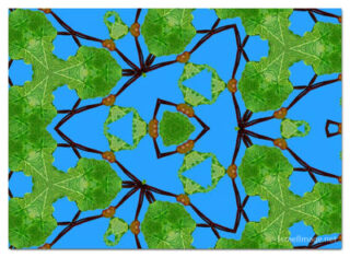 the kaleidoscope of life print The Kaleidoscope Of Life 00072