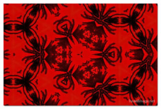 the kaleidoscope of life print The Kaleidoscope Of Life 00073