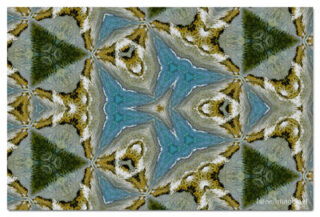 the kaleidoscope of life print The Kaleidoscope Of Life 00075