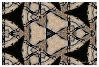 the kaleidoscope of life print The Kaleidoscope Of Life 00076