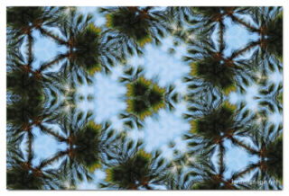 the kaleidoscope of life print The Kaleidoscope Of Life 00083